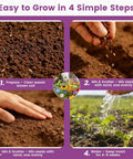 Step-by-step guide to planting American Meadow Magic Wildflower Seed Mix Bulk Pack 25 Varieties Non GMO Perennial and Annual Native Seeds.