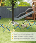 Dogs jumping over 4 Piece Dog Agility Course Set With Adjustable Height Hurdles in backyard, near a playhouse.