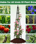 Beefy 6 Foot Garden Trellis For Climbing Plants With Thickened 16mm Metal Pipes, Heavy Duty Plant Support Displayed with Various Plants