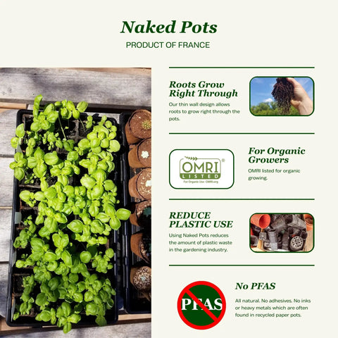 4 Inch Plantable Seed Starter Pots 30 Pack Natural Biodegradable Seedling Pots with Enhanced Aeration, OMRI certified, eco-friendly