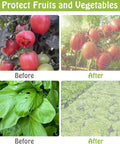 Ultra Fine Garden Netting 10X30Ft Plant Barrier For Backyard Veggies And Flowers Keeps Pests Out With 0.8X1mm Mesh Includes 30 Cable Ties And 10 Nails Perfect For Greenhouse Patio And Garden Bed Protection depicted with before and after vegetable images