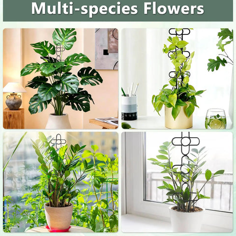 Two Pack 24 Inch Indoor Plant Trellis Set for Climbing Vines in use with multi-species potted plants on windowsill and table.