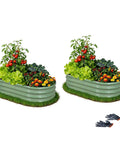 Two Pack Raised Garden Bed Kits 4x2x1 Ft Green Oval Galvanized Metal Planter Beds for Vegetables Flowers and Herbs Easy Assembly No Tools Needed Durable Outdoor Garden Beds with plants and gloves
