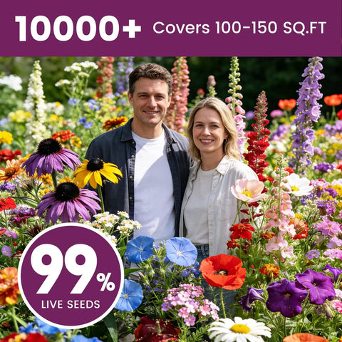 Massive Wildflower Seed Bulk Pack With 10,000 Seeds, 21 Varieties Perennial And Annual Heirloom Mix For Outdoor Or Indoor Gardens, Attracts Butterflies And Hummingbirds, Rainbow Bloom In Every Bed, High Germination Rate, Easy Planting