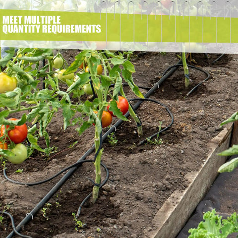 100 Count Half Inch Irrigation Drip Tubing Stakes 5 Inch J Shaped Landscape Staples installed in garden with tomato plants