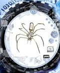 Metal Spider Model Kit For Adults With Brass Gears And Steampunk Flair A 3D Mechanical Insect Sculpture crafted from premium laser cut steel.