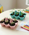 Two Pack Indoor Flower Grow Kit With Colorful Egg Cartons, Sunflower And Daisy Seeds, Eco Friendly Growing Medium on table