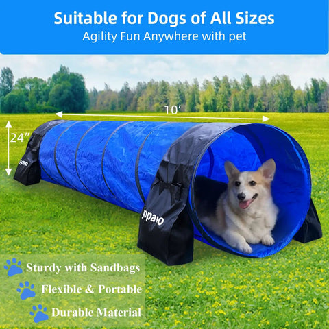 Corgi inside 10 Foot Dog Agility Tunnel Kit With 2 Sandbags Carry Bag And 4 Ground Spikes for backyard obstacle course training