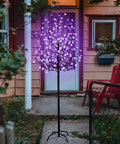 6 Foot Solar Cherry Blossom Tree Light With 200 LED Purple Lights That Look Lit for garden patio shown at dusk