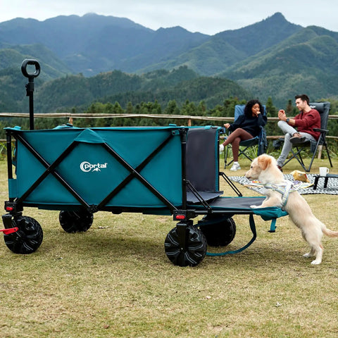 300L Heavy Duty Foldable Wagon With Tailgate And All Terrain Wheels set in a park, dog jumping on tailgate, picnic scene