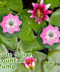 Two Pack Solar Water Fountain Pumps With Water Lily Sprout Nozzles for Bird Bath Pond on Lily Leaves