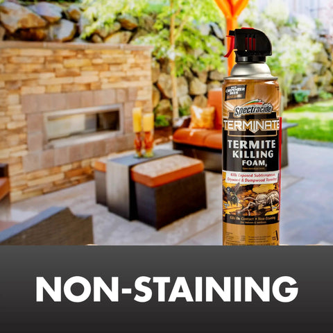 Powerful Termite Killing Foam For Indoor And Outdoor Use 16 Ounces Aerosol near outdoor patio with non-staining label