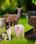 2 Pack Heavy Duty Automatic Dog Feeder With Tight Seal Lid 25 Pound Capacity Weather Resistant Outdoor Hanging Bowl Feeder For Big Guys with various animals around it.