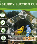 Epic Window Bird Feeder With Five Extra Strong Suction Cups For Outdoors, clear design with two birds and seeds