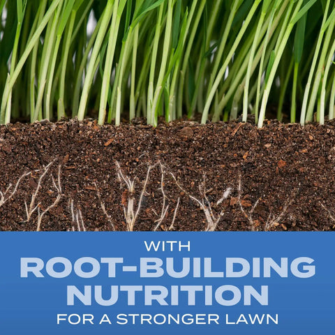 Kickstart Your Dream Yard With This Sun And Shade Grass Seed Mix That Delivers Serious Fertilizer Power To Grow Thick Turf Fast Across Any Spot, showcasing root structure and soil for strong grass growth.