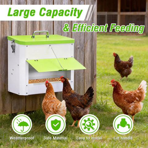 Heavy Duty Automatic Chicken Feeder With Weather Sealed Lid And Lockable Rodent Proof Door For Zero Waste Hanging Backyard Poultry Feed Hopper with green lid.