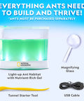 Light Up Ant Habitat Kit For Kids With Magnifiers Totally Hands On Science Toy For Curious Minds Watch Ants Build Tunnels In A Safe Gel Terrarium Explore Lighting Temperature And Location To See What Helps Them Thrive. Light-up ant habitat with gel, magnifier, tunnel tool and USB cable