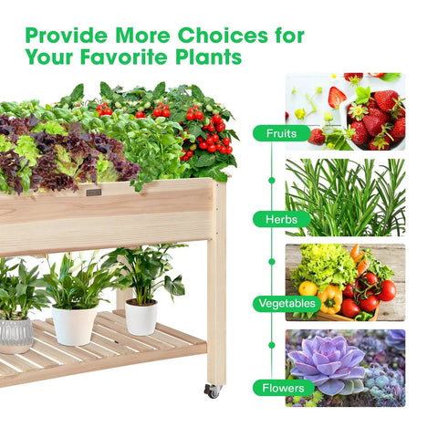 Elevated Wooden Raised Garden Bed On Wheels With Storage Shelf And Protective Liner Outdoor Planter Box Measures 46 By 24 By 32 Inches Ready To Roll Heavy Duty Lockable Wheels Easy To Move Great For Small Yard with plants and storage shelf