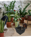 Hydroponic Plant Basket Net Pots 2 Pack For Veggie Growing, black plastic mesh pot shown with indoor potted plants