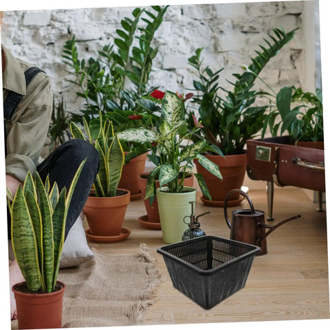 Hydroponic Plant Basket Net Pots 2 Pack For Veggie Growing, black plastic mesh pot shown with indoor potted plants