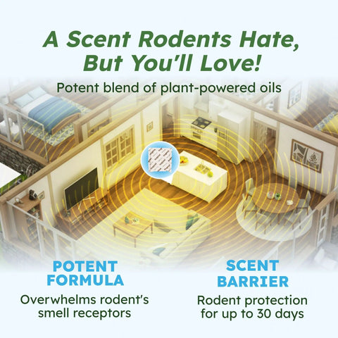 Vamoose Plus Peppermint Oil Mouse Repellent Pouches shown in home layout, illustrating plant powered scent barrier for rodent control.