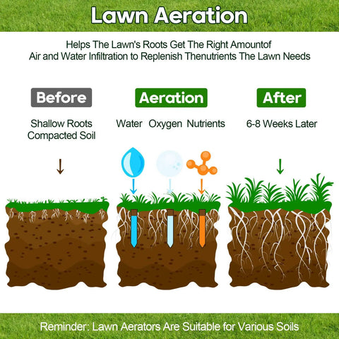 Infographic showing lawn aeration process before and after using 18 Inch Rolling Lawn Aerator Tool With 50 To 70 Inch Adjustable Handle.