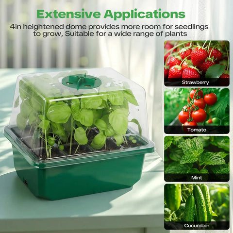 4 Pack Seed Starter Tray With Self Heating And Humidity Control Domes for Indoor Gardening, shown with visible plants under a clear dome.