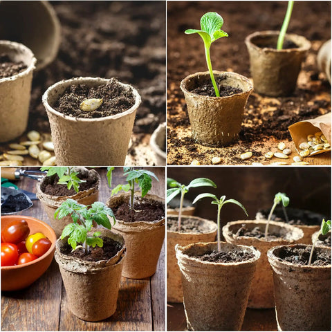 50 Pack Three Point One Five Inch Peat Pots For Seedlings With 50 Plant Labels Biodegradable Nursery Pots For Outdoor Garden Germination And Easy Seed Starter Kit