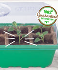 Close-up of seedlings in 10-Cell Greenhouse Germination Kit for Home Gardens With Biodegradable Pots and Vented Lid, Made From 75 Percent Recycled Plastic