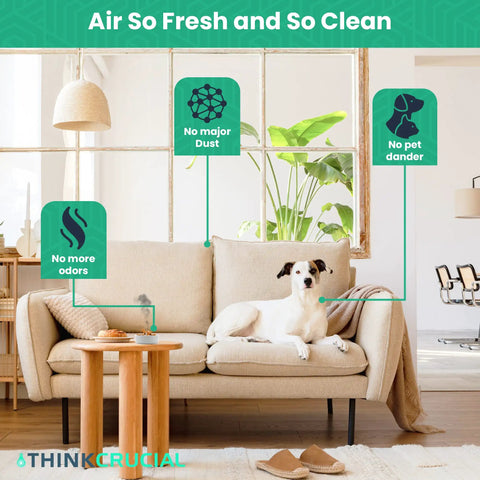 Living room scene with a dog on the sofa showcasing Replacement Air Purifier Filter Compatible With Whirlpool AP450 AP45030HO and AP510 Models for cleaner air