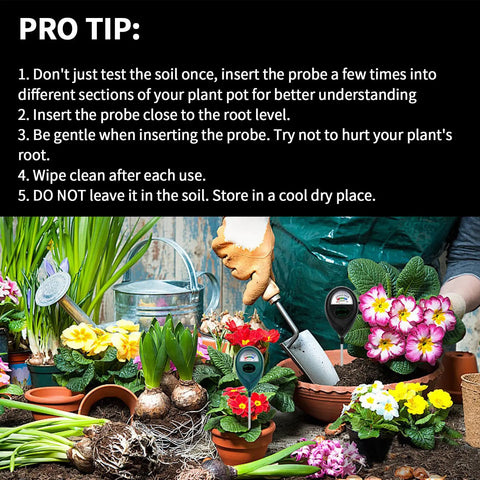Extended Long Probe Soil Moisture Meter For Deep Pots And Garden Beds No Battery Needed Plant Water Meter And Hygrometer For Indoor Outdoor Care Precise Moisture Sensor To Keep Your Plants Healthy Plant Parent Approved pro tip guide with probe in potted flowers