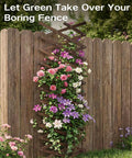 Expandable Garden Trellis System For Indoor And Outdoor Use with climbing plants on wooden fence