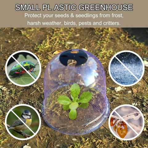 Six Pack Garden Cloche Domes 7.3 Inch Diameter 6.9 Inch Height Plastic Mini Greenhouse Covers With 18 Ground Pegs And 10 Plant Labels For Outdoor Frost Protection And Seedling Start