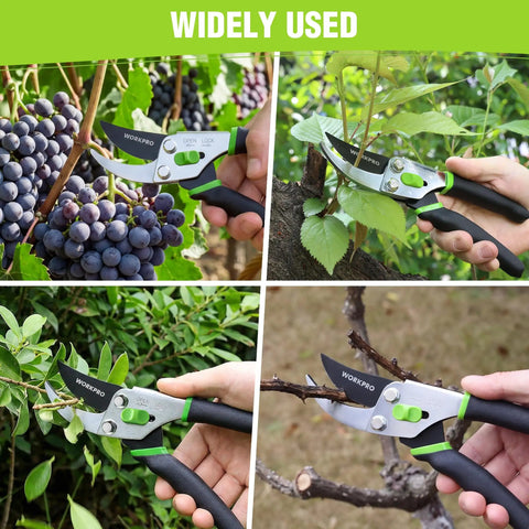 Bypass Pruning Shears 8.5 Inch With Non Slip Grip Handle in use for cutting grapes, branches, and plants