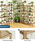 Slick Four Tier Bamboo Shelf Freestanding Bathroom Storage Rack Corner Organizer Tight Squeeze Space Saver Vertical Display For Toiletries And Essentials That Actually Knocks Out Clutter In Small Apartments And Keeps Your Space Looking Sharp showcasing plants on a wooden rack.