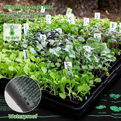 72-cell seed starting trays of All In One Seedling Starter Kit With Grow Lights And Heat Mat, seedlings labeled in a garden setting