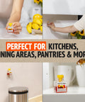 Indoor Fruit Fly Trap Killer Station With Natural Liquid Bait For Kitchen Counters Trash Cans And Pantry Food Fast Acting Pest Control That Works Like A Dream Total Game Changer Four Pack Bundle, shown in various home settings.