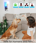 Child and dog in living room with plugged in Two Pack Plug In Flying Insect Trap Kit With Ten Refills Purple UV Light Bug Zapper