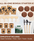 Indoor Bonsai Starter Kit For Adults With Jacaranda Seeds, Tools And Planter, Totally Beginner Friendly, Complete Tree Growing Set