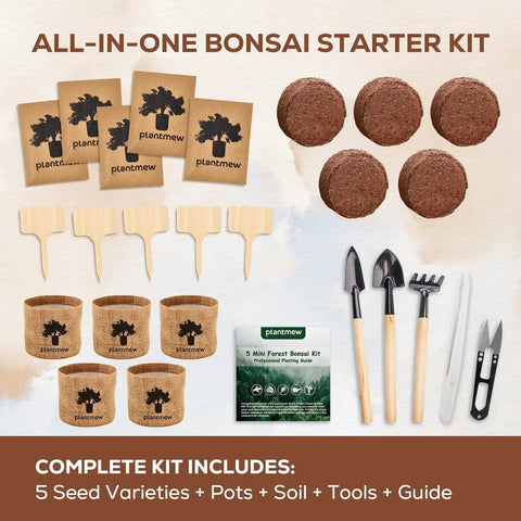 Indoor Bonsai Starter Kit For Adults With Jacaranda Seeds, Tools And Planter, Totally Beginner Friendly, Complete Tree Growing Set