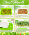 10 Pack Green Seed Sprouter Trays For No Soil Needed Germination No Fuss Water Only Setup BPA Free Nursery Trays For Sprouting