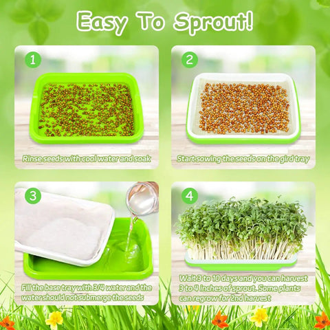 10 Pack Green Seed Sprouter Trays For No Soil Needed Germination No Fuss Water Only Setup BPA Free Nursery Trays For Sprouting