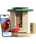 Smart Solar Powered Bird Feeder With Camera, Slow Motion Video And Night Insight, AI Identifies 6000 Plus Species, Lifetime Free Access, Ideal Outdoor Bird Watching Gift For Bird Nerds, Crafted In Natural Fir Wood shown with smartphone display