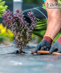 Gardener installing Workhorse Heavy-Duty 3 Oz Weed Control Fabric Ground Cover for Gardens and Landscaping, Brown, 3 x 100 Feet