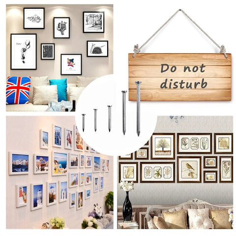 Five Size Galvanized Brick Nails Kit 275 Pieces For Hanging Pictures And DIY Woodworking, nails shown with wall decor