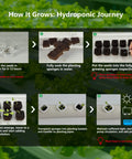 Step-by-step guide of Hydroponic Growing System Kit With 36 Plant Sites Full Spectrum Grow Lights And Timer Auto Water Pump PVC U Pipes Home Garden For Leafy Greens Lettuce And Herbs 12 Minute Easy Assembly
