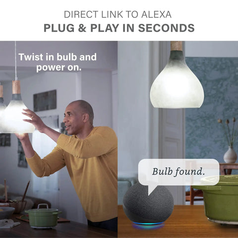 Man installing Alexa Compatible A19 LED Bulb 60W Equivalent 800 Lumens Daylight 5000K Dimmable Bluetooth Mesh E26 Base 10 Pack