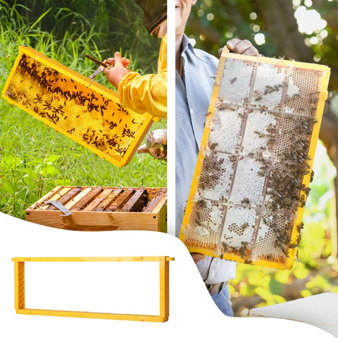 Five Pack Durable Plastic Beehive Frames With A 3 In 1 Design For Wires Wax Foundations And Honeycomb Cassettes Fits 8 And 10 Frame Hives 19 By 9 Inches Easy To Install Back To Back Friendly For Quick Harvest
