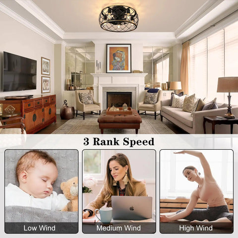 20 Inch Cage Ceiling Fan With Lights And Remote in living room showing modern decor; 3-speed settings for different wind preferences