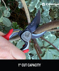 Heavy-Duty Go-To Pro Cut Bypass Hand Pruner With 1 Inch Cutting Capacity Forged Steel Blade For Clean Precise Cuts On Thick Stems And Green Growth Red Handle trimming a branch